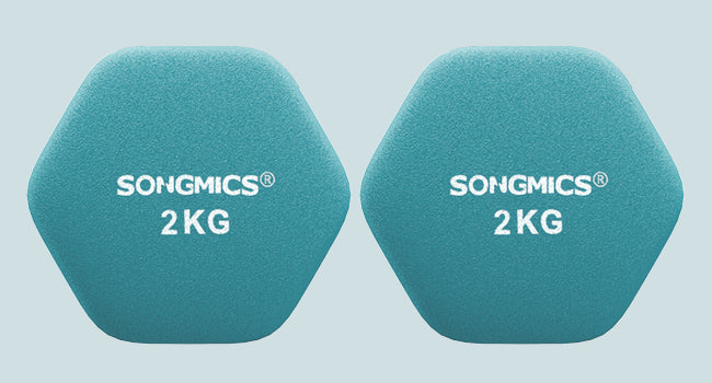 SONGMICS-Juego de mancuernas hexagonales, con soporte para Mancuernas, 2x1 kg, 2x2 kg, 2x3 kg, verde lima, aguamarina, gris
