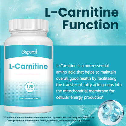 L-Carnitina - Quemador de grasa, apoyo a la energía, promover el metabolismo, crecer los músculos, mejora la memoria y la concentración - 120 cápsulas
