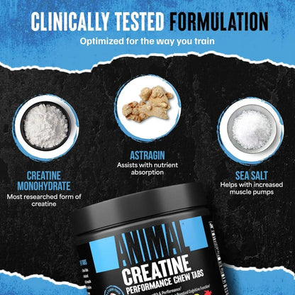Tabletas masticables de creatina: monohidrato de creatina mejorado con AstraGin para mejorar la absorción, sal marina