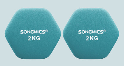 SONGMICS-Juego de mancuernas hexagonales, con soporte para Mancuernas, 2x1 kg, 2x2 kg, 2x3 kg, verde lima, aguamarina, gris